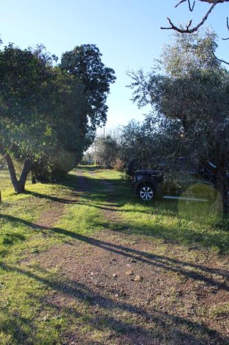 Cottage with a great fenced garden in the Tuscan countryside, Cecina (foto 6)