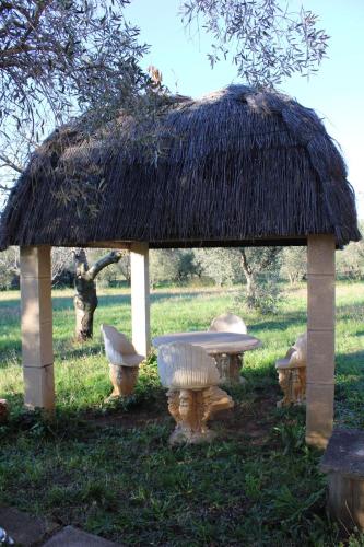 Cottage with a great fenced garden in the Tuscan countryside, Cecina (foto 9)