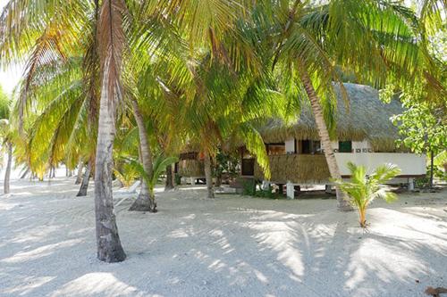 Tikehau Paradise in Tikehau Atoll