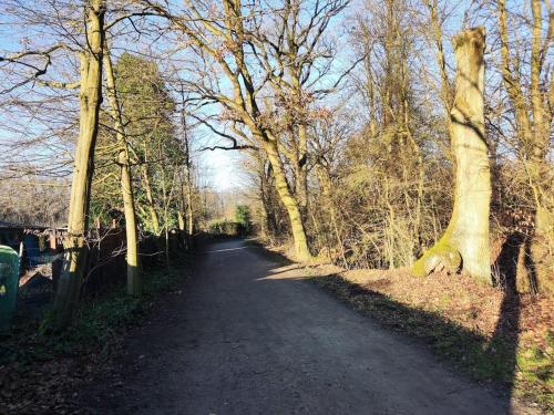 3-room apartment with 4 beds near Hamburg in Glinde