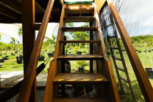 Green Cottage #1 Pitahaya in 라 파르궤라