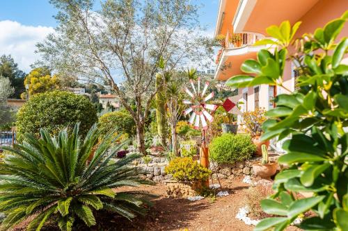 Can Navarro Can Navarro