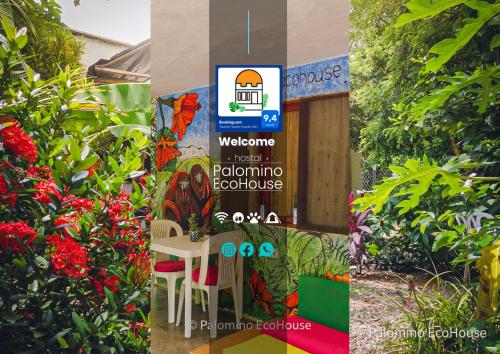 Hostal Palomino EcoHouse & Camping