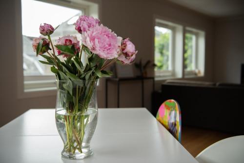 Spacious apt, Big roof terrace, Free parking, Ставангер (фото 5)