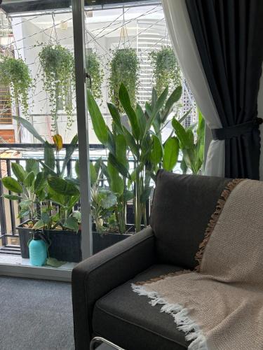 LexysHouse - Warm Space in Ho Thi Ky flower market - 정원