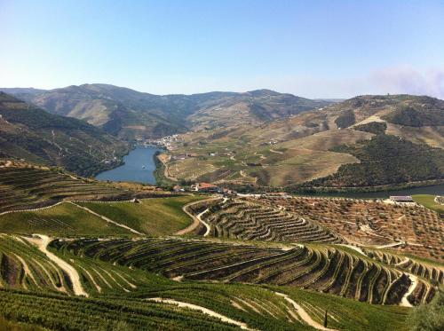 Camping Lamego Douro Valley - image 6