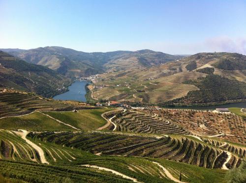 Camping Lamego Douro Valley