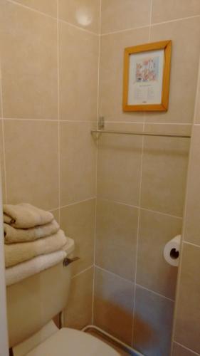 Corrib View Guesthouse - image 10
