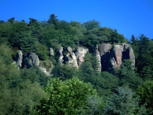 Rollstuhlgerecht auf d Kullenmuhle in บาด เฮร์เรนาลบ์