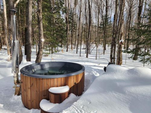 Kartalla - the A frame experience in Tremblant in Amherst (QC)