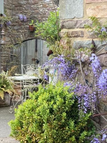 Seadmed, Lavender cottage in Longhope