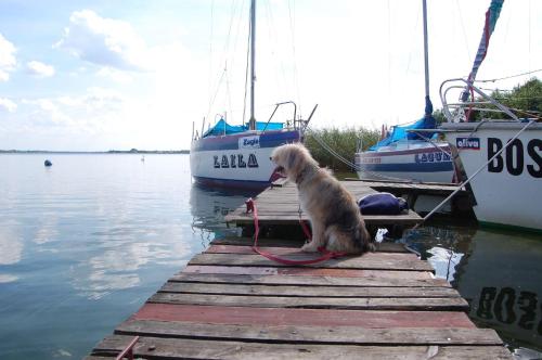 Domek Spokojna Przystań Domek Spokojna Przystań