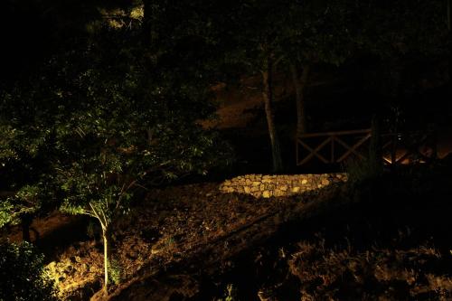 Camping Lamego Douro Valley - image 11