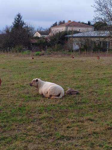 Logis Dezamy chambre d'hotes - Le Givre