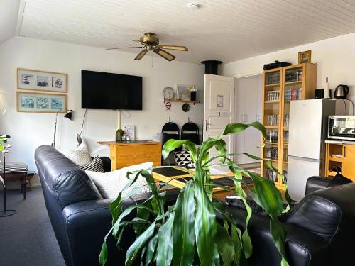 En trappa upp in 소드라 소피에룬드