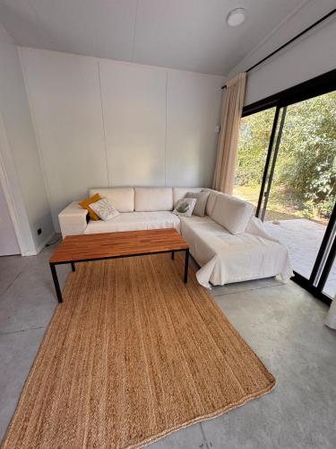 The Flower in Sauce de Portezuelo