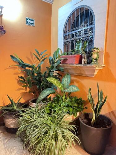 Hotel Casa Mallorca Cancun Mexico