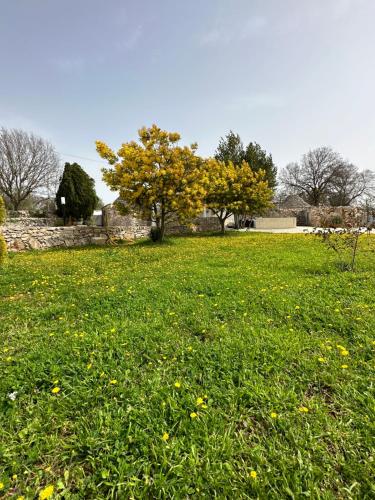 Trulli in contrada, Noci (fotografie 7)