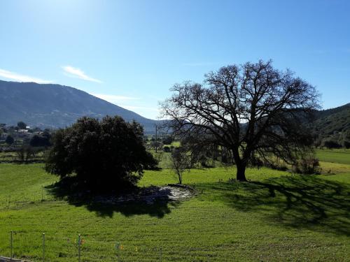 Mesoloras Valley View in Omala