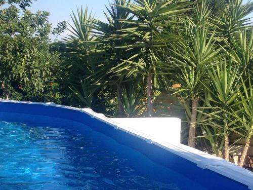 B&B Donna Luisa – Monopoli, LA