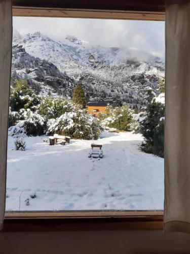 Cosmo in Lago Gutierrez