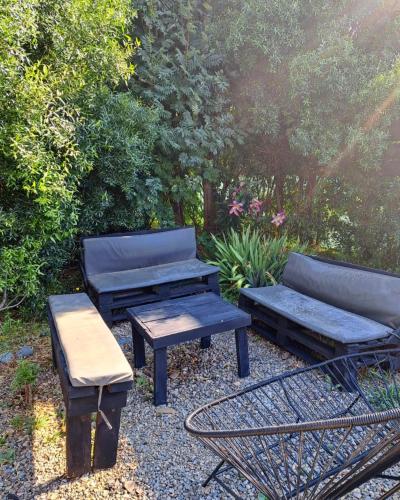 Cosmo in Lago Gutierrez