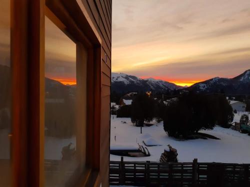 Cosmo in Lago Gutierrez