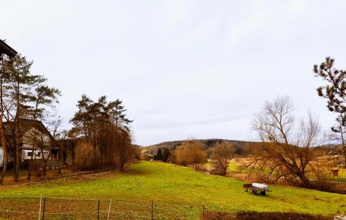 NEU - Wild Western Wohnung - 110 qm umgeben von Pferden am Fluss in Mehlbach