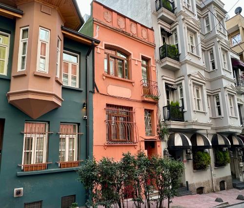 House of Soul & Triplex with a Winter Garden, Istanbul (foto 3)