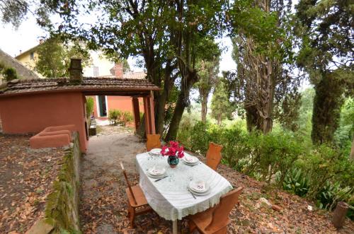  Collina Lagomare in Massaciuccoli