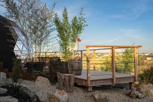 Facilities, du coq a l'ane in Saint-Joseph