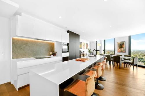 Ivanhoe Penthouse - Amazing view Masterpiece with parking in Heidelberg