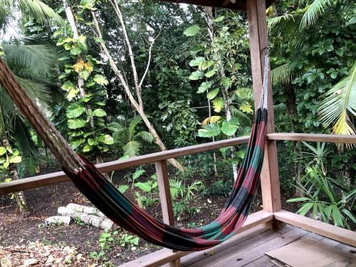 Stunning Jungle Refuge Close to Town