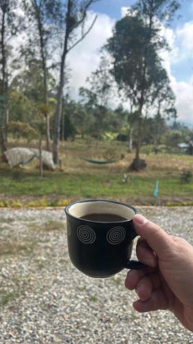 Quinta las Marias, Ecolodge y Tiny wood house