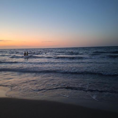 Alojamiento Familiar #3 - Un terruño en la costa