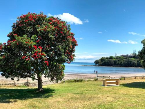 Tindalls Hideaway - 200 steps to beach, Auckland (fotografie 3)