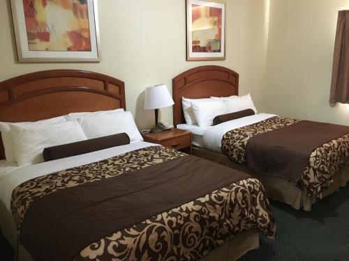 2 queen beds, 1 sofa bed