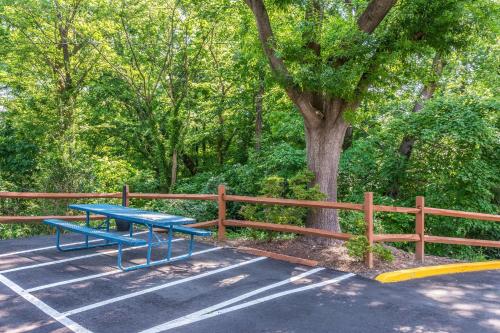 Comfort Inn Charlotte Airport Uptown - image 6