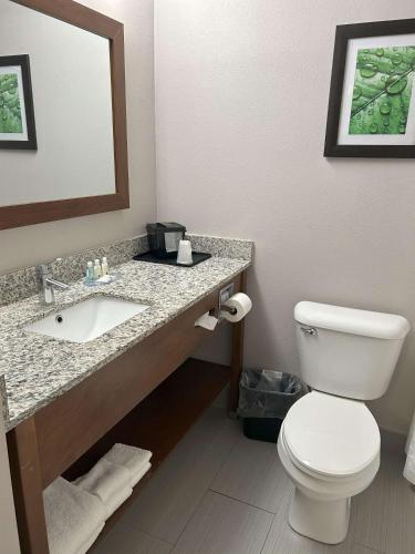 Quality Inn & Suites Tarboro - Kingsboro - image 9