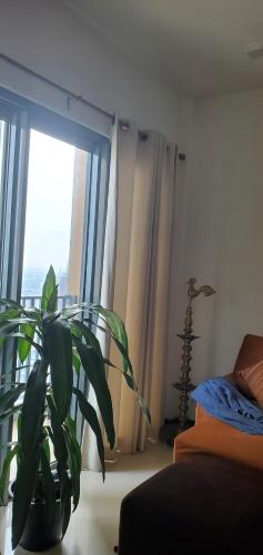 Trizen Luxury 32nd Floor 2 Bed-2 Bath Apartment with Pool Harbour & Lotus Tower views - image 2