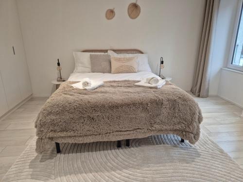 Campagne - appartement rénové avec 2 chambres (Campagne - appartement renove avec 2 chambres) in La Broye
