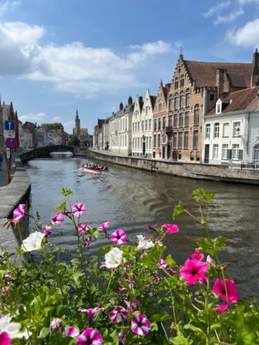 Guestsuite Couvert – Bruges, CO