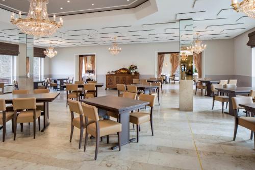 商務中心, 德爾科龍普林茲酒店 (Der Kronprinz) in 杜德施塔特