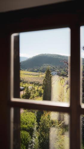 B&B Unterhabsbergerhof