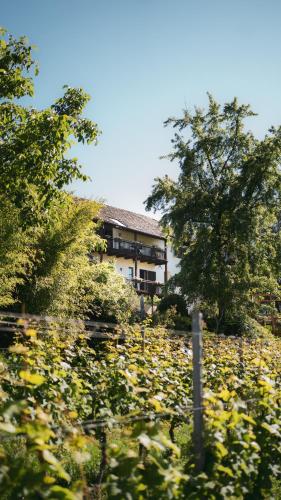 B&B Unterhabsbergerhof