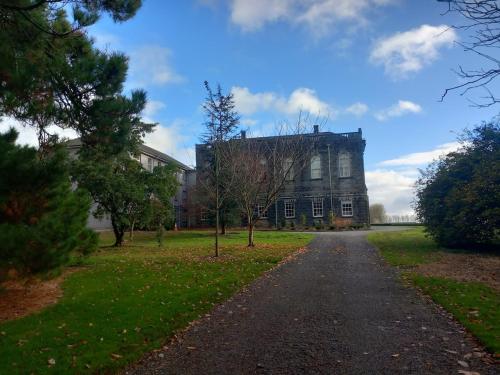 Grove View log house in Ballynaraha South
