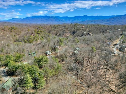 Bear Haven #297 by Aunt Bug's Cabin Rentals - image 10