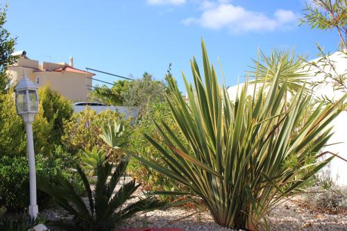 Sunshine - image 13
