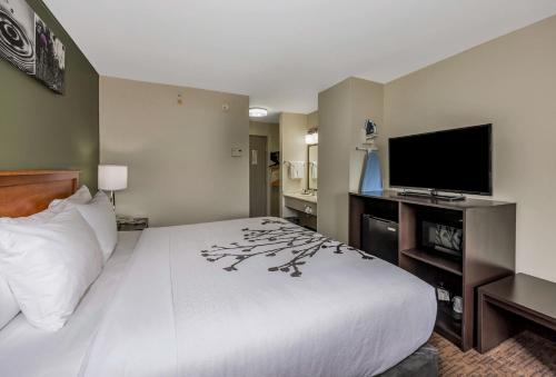 Baymont by Wyndham Oxford - image 31