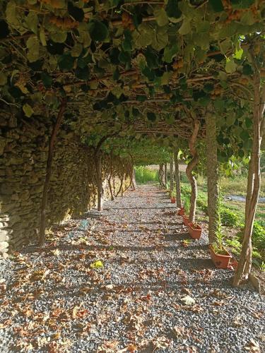Casa Grande de Covas-Apartamentos Turísticos